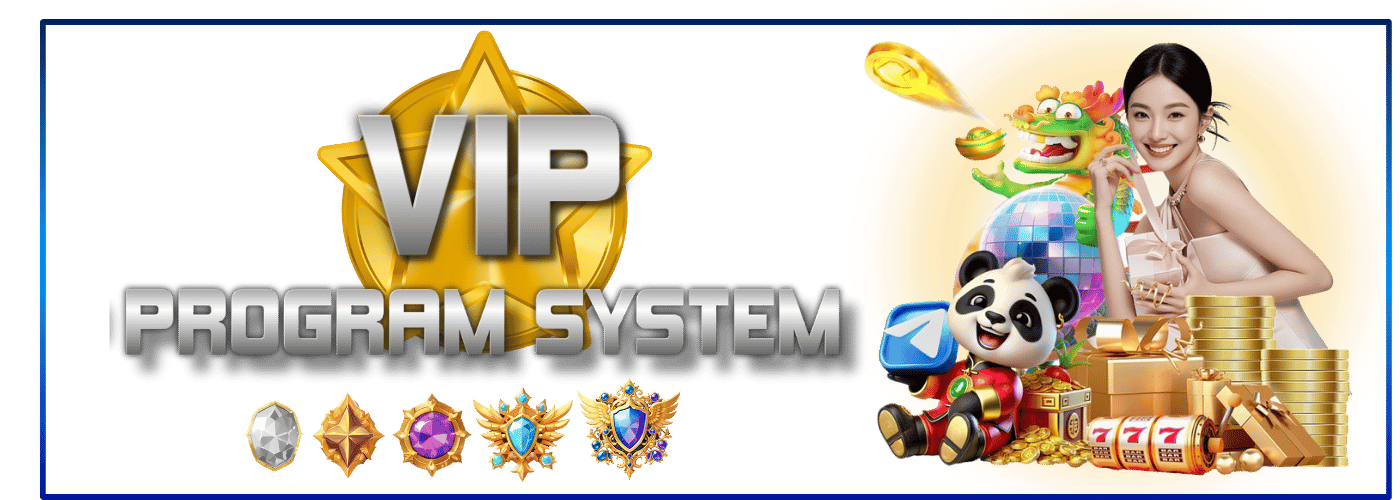 VIP Program Model Image